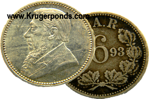 1893 ZAR six pence